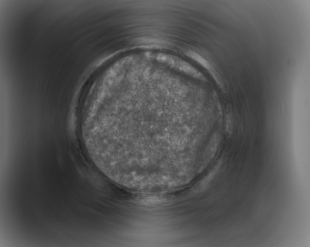 X0000088431074200706191230