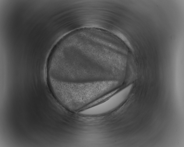 X0000088431076200706191230