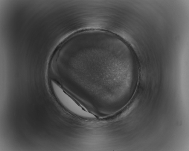 X0000088431077200706191230