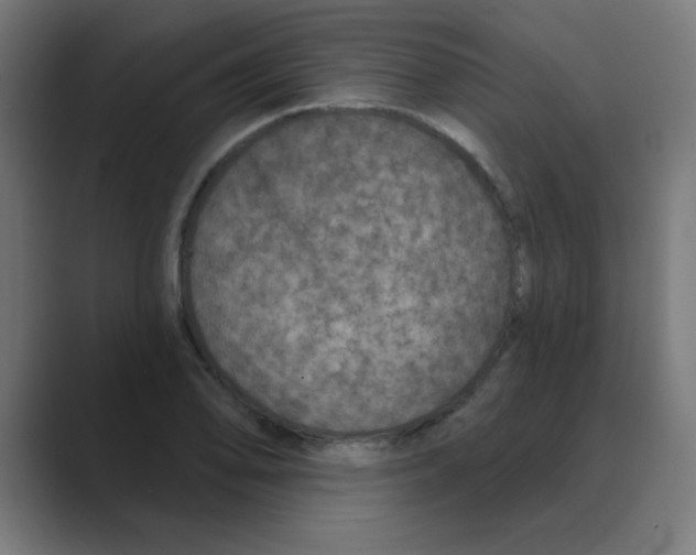 X0000088431078200706191230
