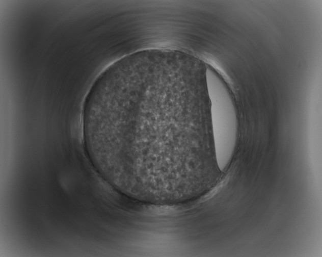 X0000088431079200706191230