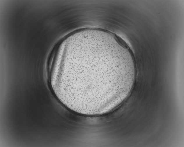 X0000088431080200706191230