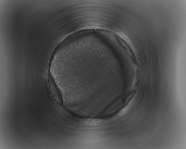 X0000088431081200706191230