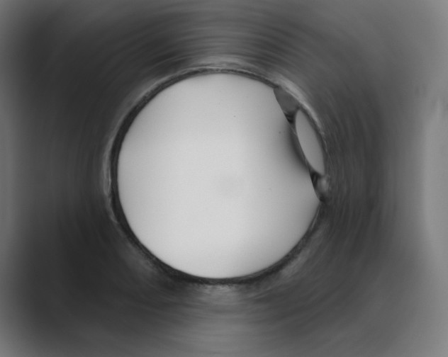 X0000088431082200706191230