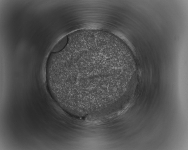 X0000088431083200706191230