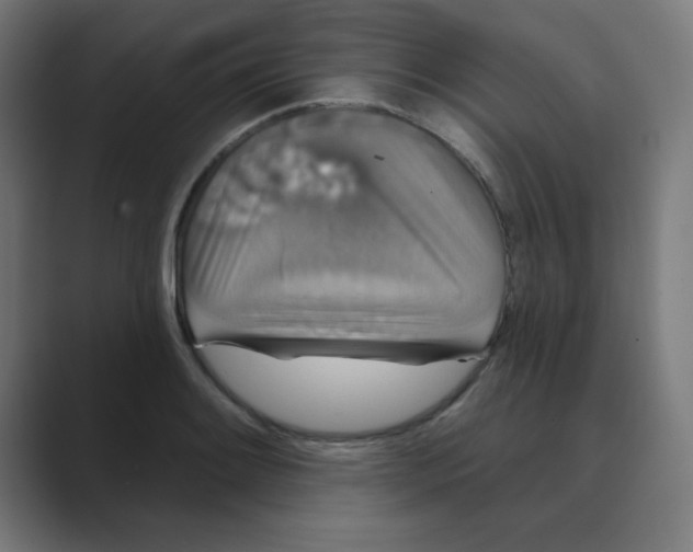 X0000088431084200706191230