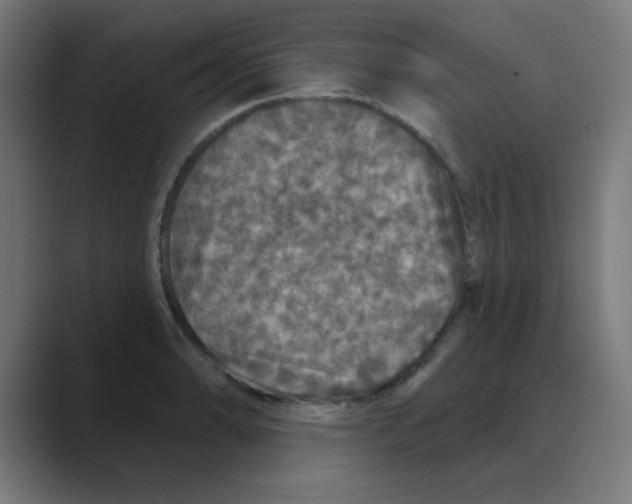 X0000088431086200706191230