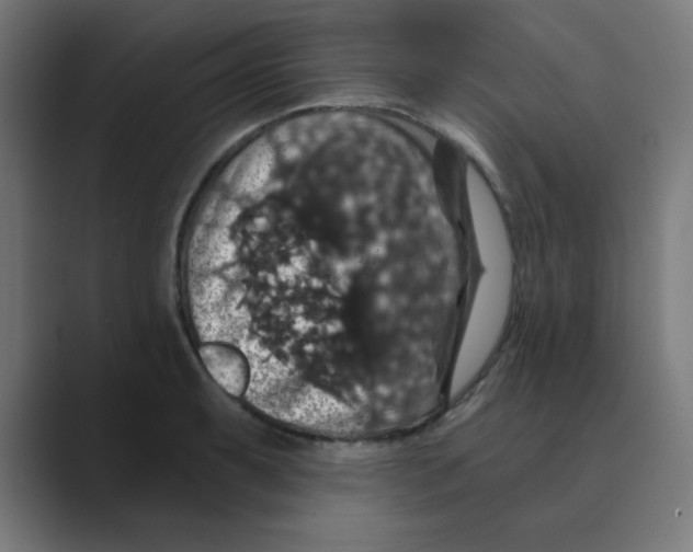 X0000088431087200706191230