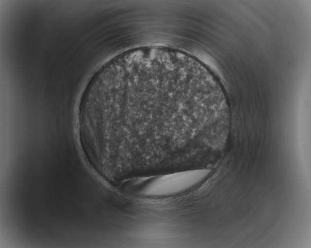 X0000088431088200706191230