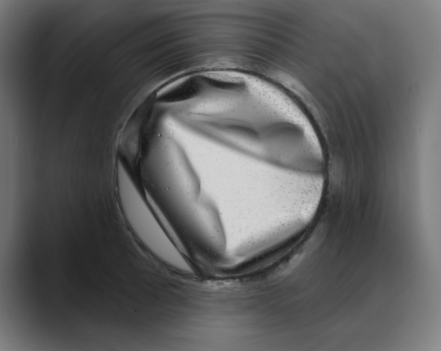 X0000088431089200706191230
