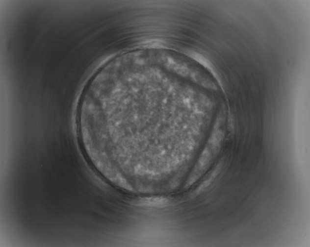 X0000088431090200706191230