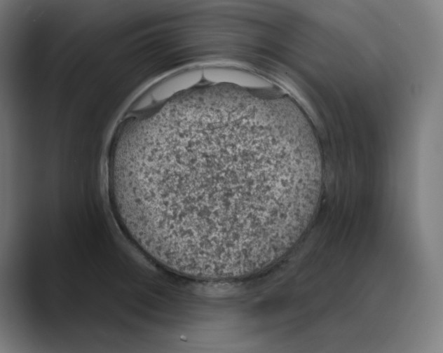 X0000088431092200706191229