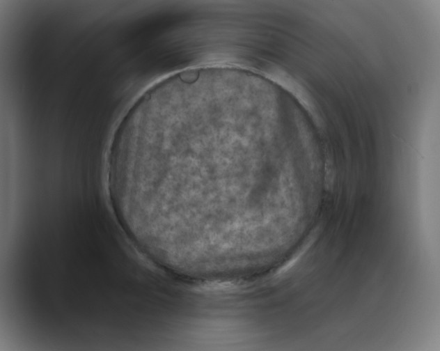 X0000088431094200706191229