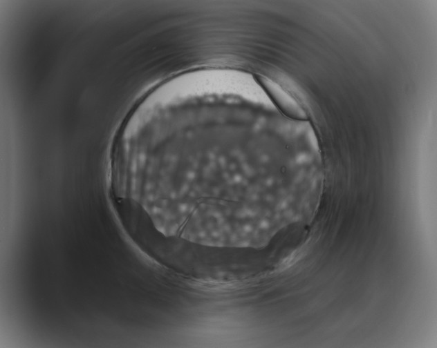 X0000088431095200706191229