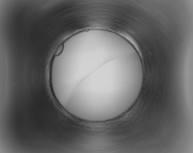 X0000088431096200706191229