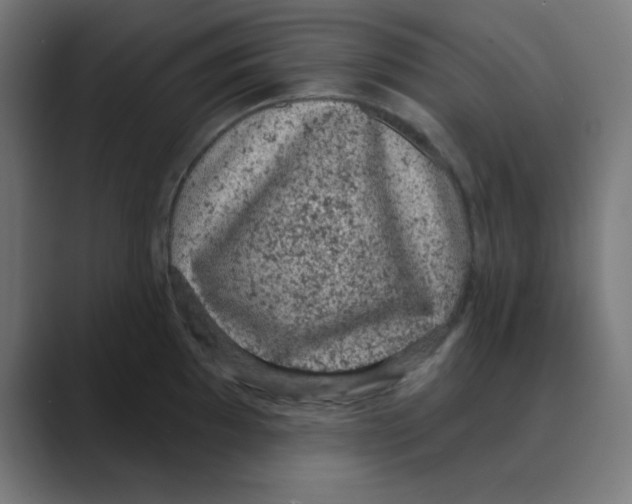 X0000088431097200706191229
