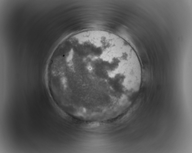 X0000088431098200706191229