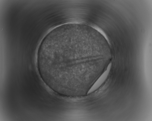 X0000088431099200706191229