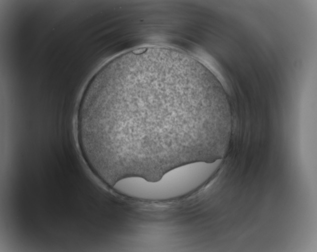 X0000088431100200706191229