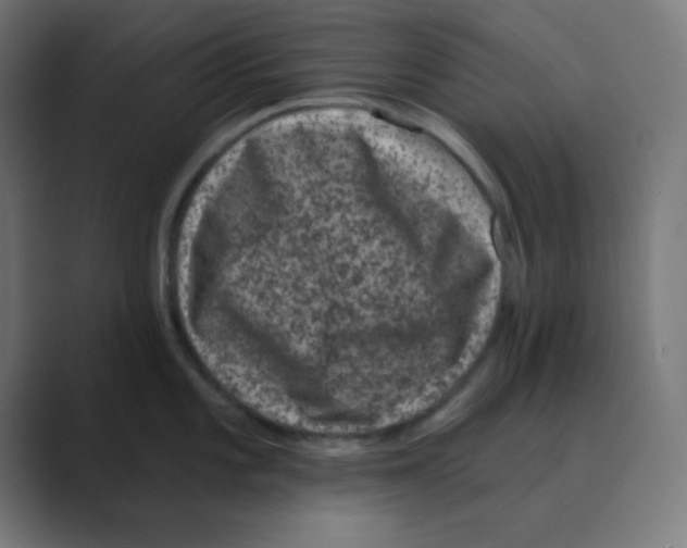 X0000088431101200706191229