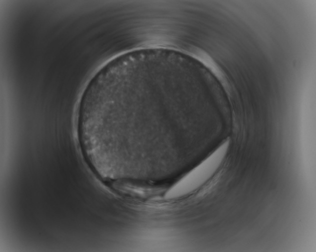 X0000088431102200706191229
