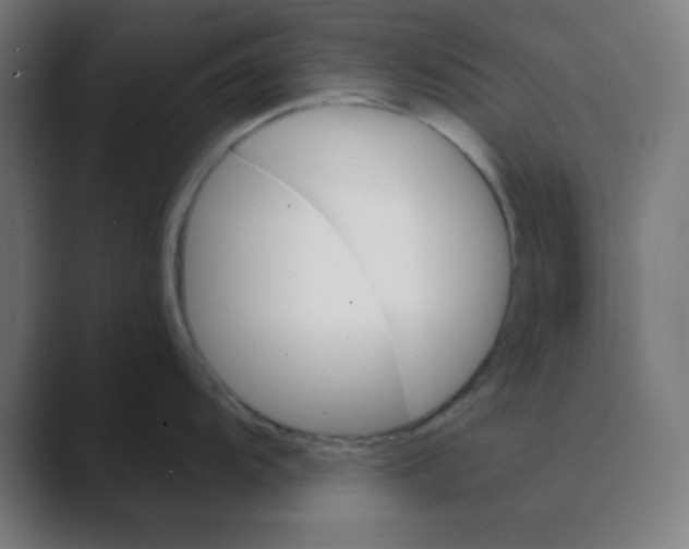 X0000088431104200706191229