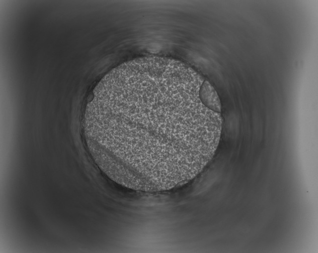 X0000088431105200706191229