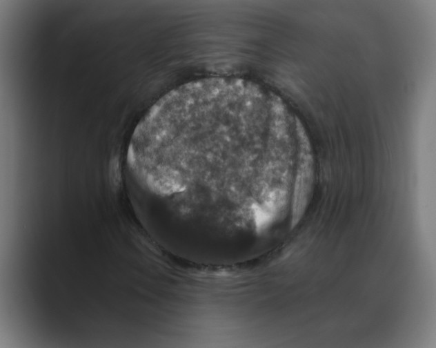 X0000088431106200706191229