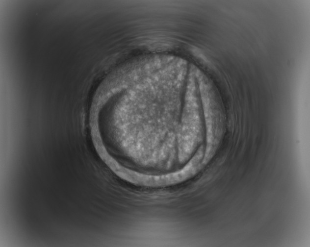 X0000088431108200706191229