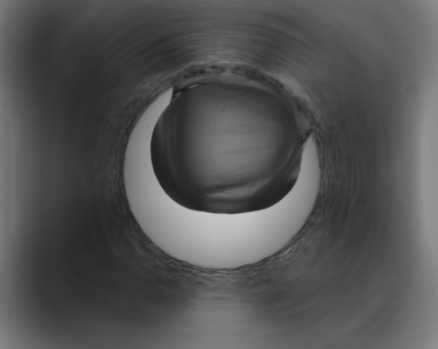 X0000088431110200706191229
