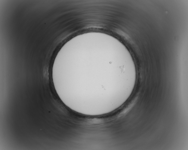 X0000088431113200706191229