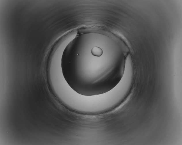 X0000088431114200706191229