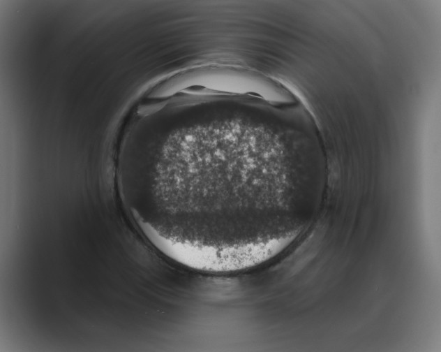 X0000088431115200706191229