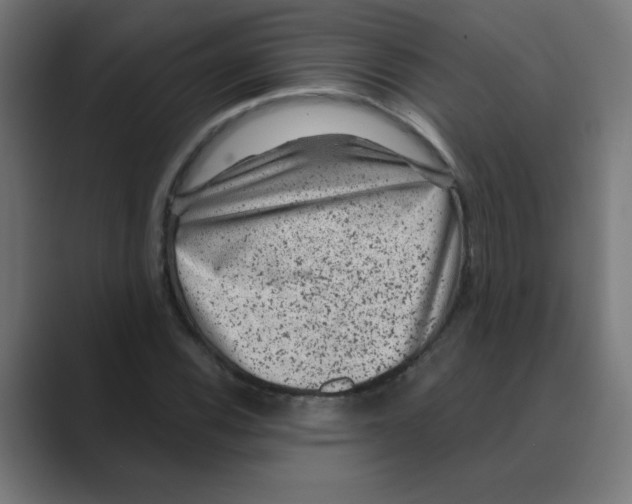 X0000088431116200706191229