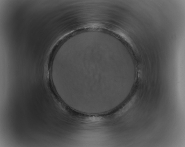 X0000088431117200706191229