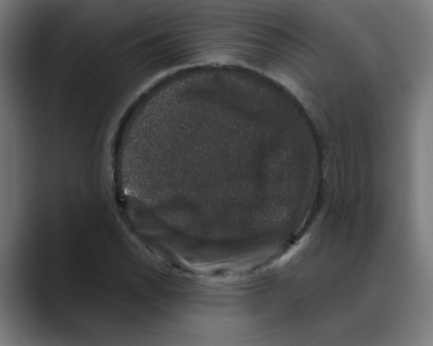 X0000088431118200706191229