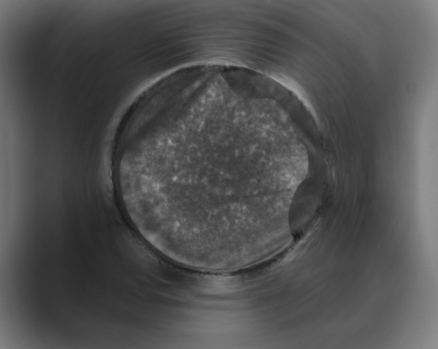 X0000088431120200706191229