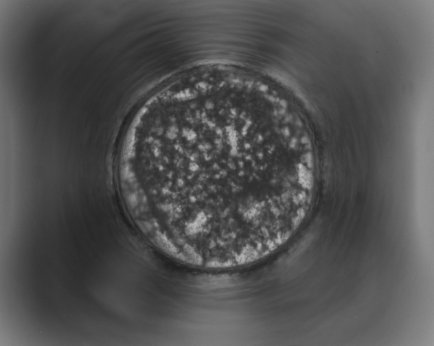 X0000088431121200706191229