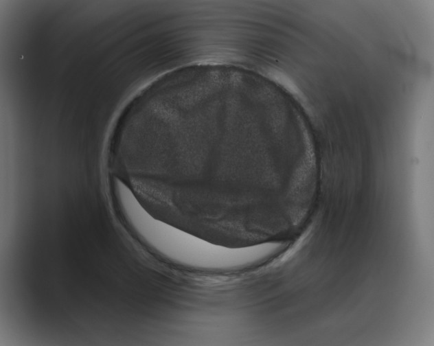 X0000088431122200706191229