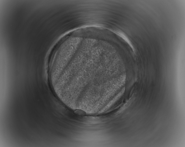 X0000088431124200706191229