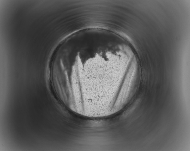 X0000088431125200706191229