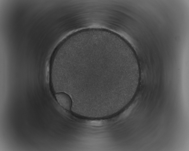 X0000088431126200706191229