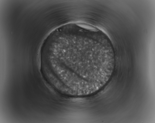 X0000088431127200706191229