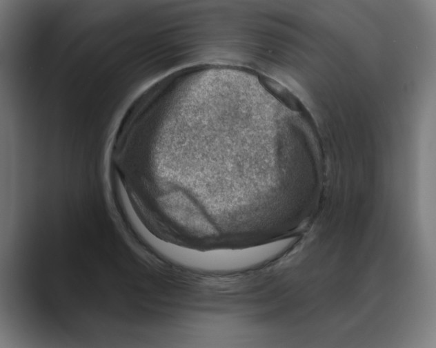X0000088431128200706191229