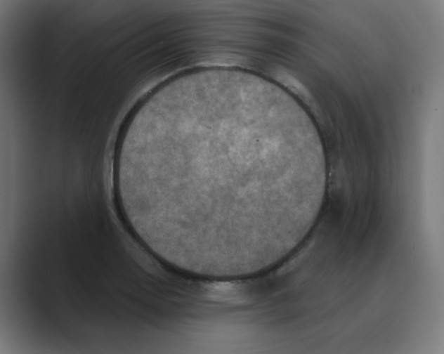 X0000088431130200706191229