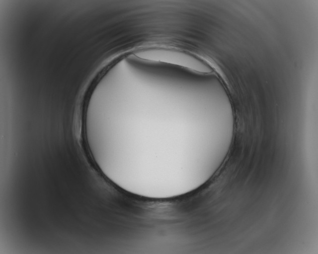 X0000088431131200706191229