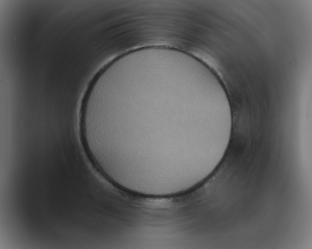 X0000088431135200706191229