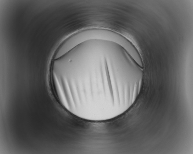 X0000088431136200706191229