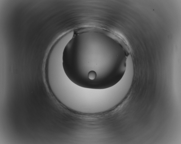 X0000088431138200706191229