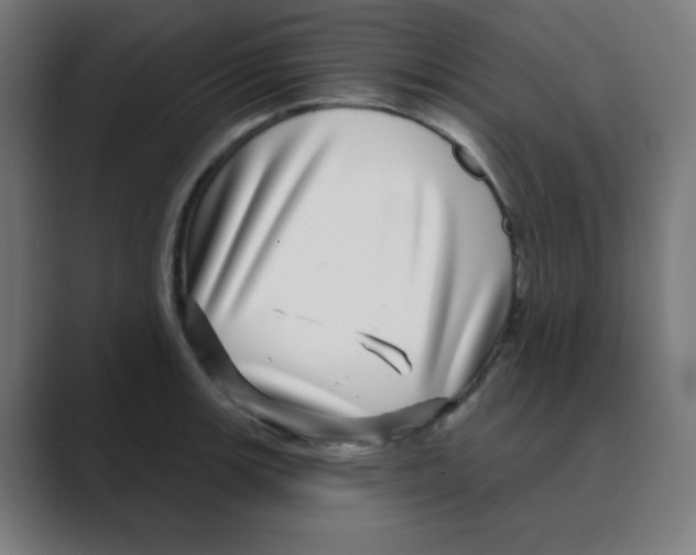 X0000088431139200706191229